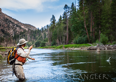 Fly Fishing the Golden Trout Wilderness in California