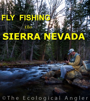 Fly Fishing the Sierra Nevada