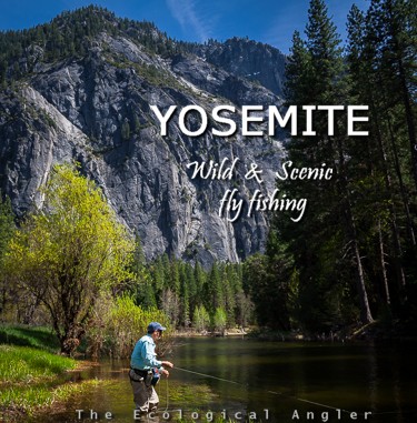 Fly Fishing Yosemite National Park Rivers