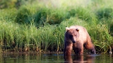 Alaska Wilderness Adventure Photography