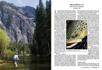 Northwest Fly Fishing Article featuring the Wild & Scenic Merced River