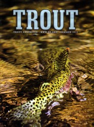 Trout Magazine