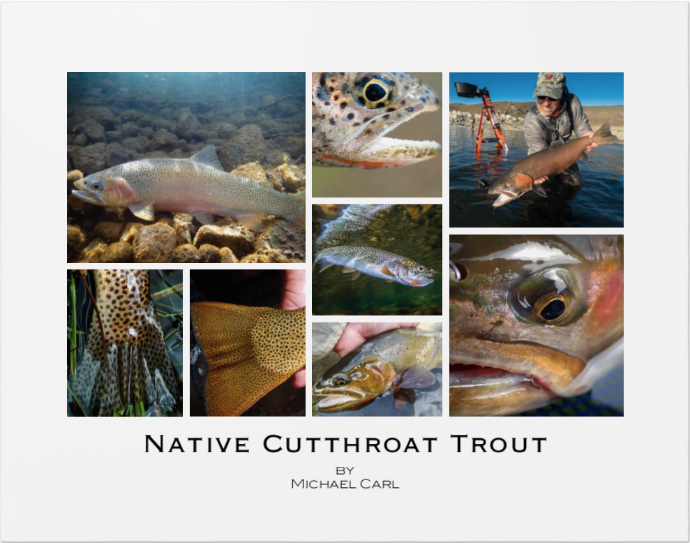 The Ecological Angler - Lahontan Cutthroat Trout