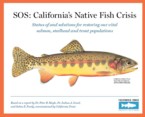Caltrout Issues Report on Native Fish Crisis