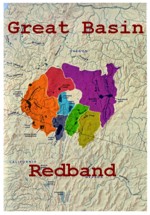 Great Basin Redband